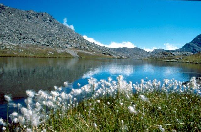 Territorio