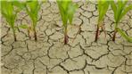 agricoltura siccità
